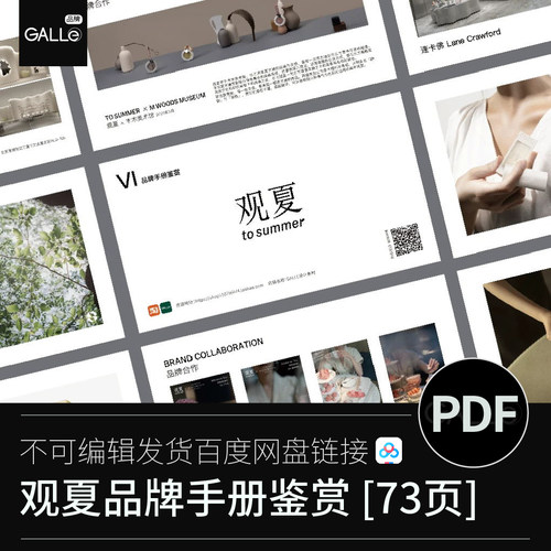 观夏品牌介绍战略平面设计PDF学习文档