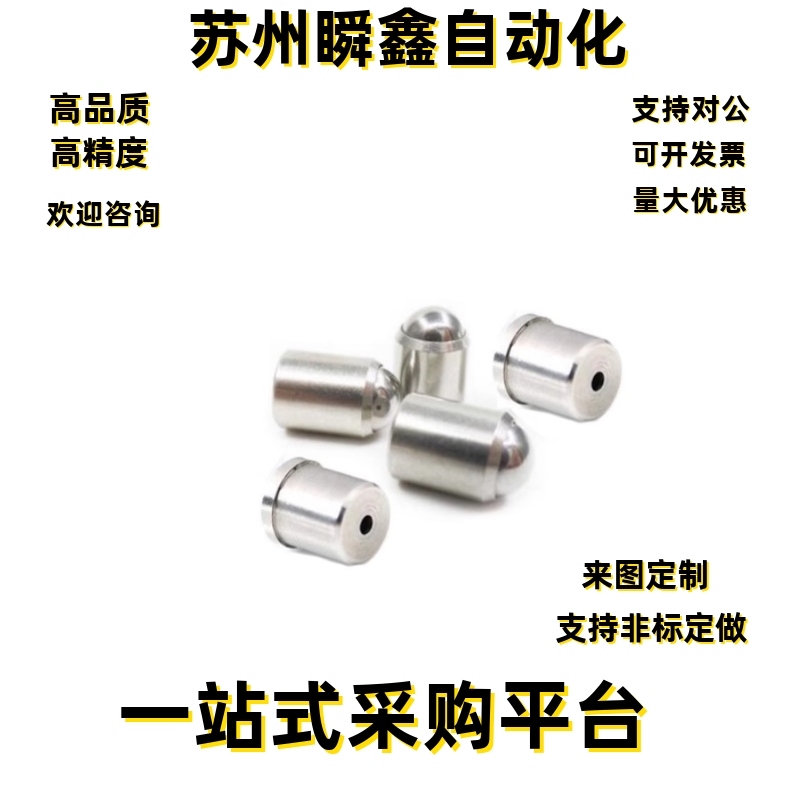 压入式球头柱塞 PFSSR2/3/4/5/6/8/10/12 精密定位珠