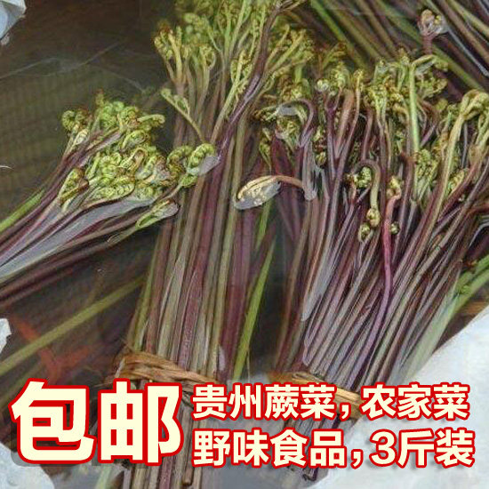 包邮 蕨菜1500g保鲜蕨菜清水蕨菜贵州土特产可凉拌炒食