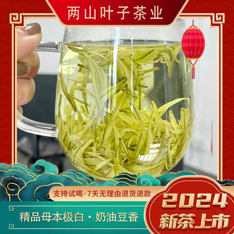 两山叶子【精品母本极白】2024新茶安吉白茶春季早春好茶香醇品质