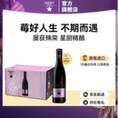 艾帝达姆小莓好草莓果味啤酒330ml西班牙进口新年元 旦年终大促