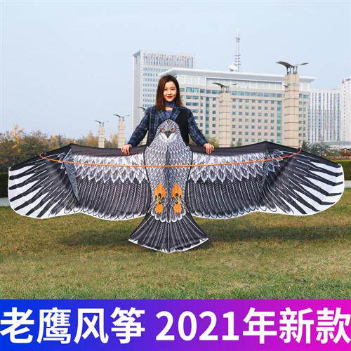 2023潍坊老鹰风筝大人专用网红儿童微风A易飞特超大型中国风2021怎么看?