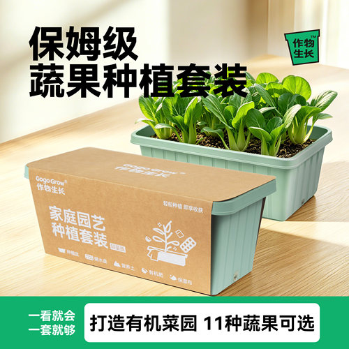 有机蔬菜种植套装在家种菜