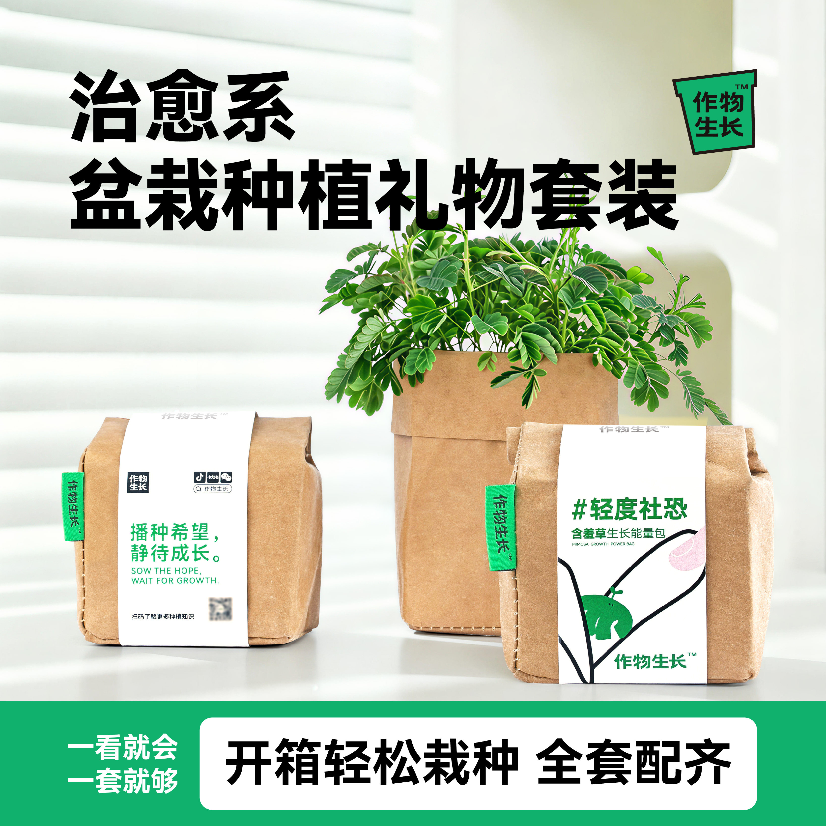 作物生长薄荷幸运草种植小盆栽园艺套装办公室桌面绿植团购礼品