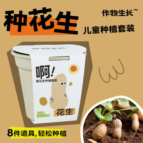 花生种植小盆栽手工体验