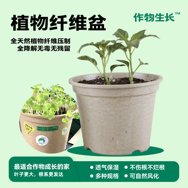 作物生长可降解种植盆大中小号绿色环保天然透气保水植物纤维花盆