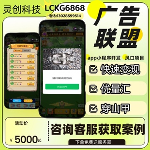 零基础广告联盟项目穿3甲对接抖音小程序开发搭建小游戏流量主