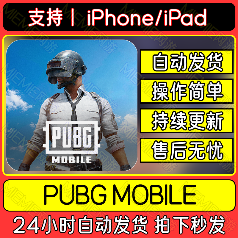 PUBG手游刺激战场 国际服 中文下载吃鸡教程平板游戏
