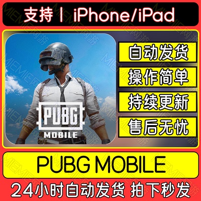 PUBG手游刺激战场 国际服 中文下载吃鸡教程平板游戏