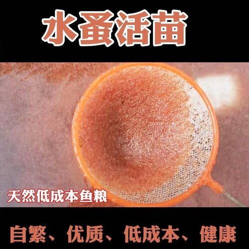 水蚤活苗鱼虫红虫水虱子水瘙鱼食卵饲料鱼苗幼苗开口活食