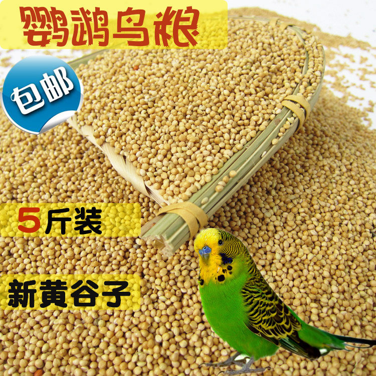 包邮黄谷子/带壳小米/虎皮牡丹鹦鹉鸟食鸟粮/5斤装图片