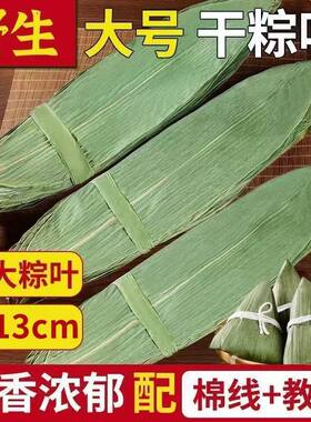 特大号野生粽叶干粽叶端午包粽子专用粽子叶干箬叶送棉线麻竹叶