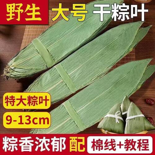 特大号野生粽叶干粽叶端午包粽子专用粽子叶干箬叶送棉线麻竹叶