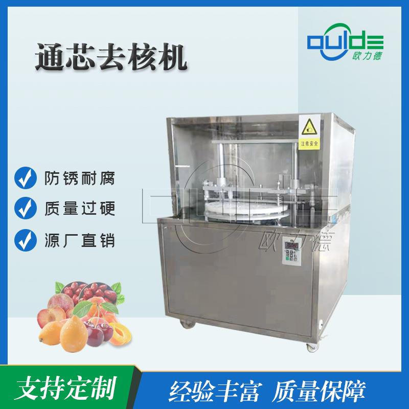 厂家供应工业大型山楂红枣大枣桂圆龙眼电动果核分离通芯去核机