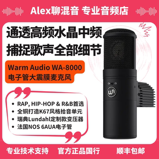 大振膜电子管话筒专业人声乐器 Warm 8000 Alex聊混音 Audio