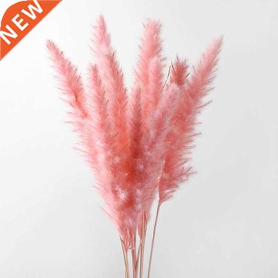 10PCS Bulrush Natural Dried Flowers Artificial Plants Branch