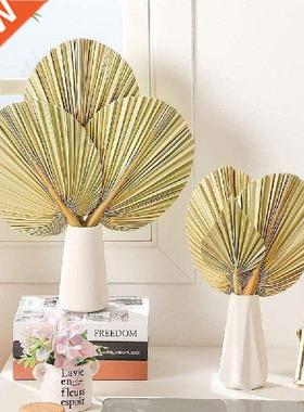 1PCS Palm Fan Leaf Dried Flower Palm Leaf Window Reception
