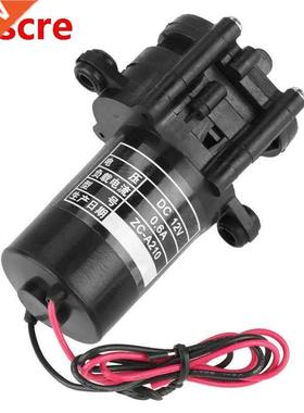 ZC-A210 ZC-A250 12V Mini Plastic High Efficiency Self-primin