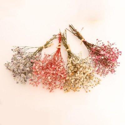 Natural Dried Flowers Bouquets Mini Gypsophila Dried