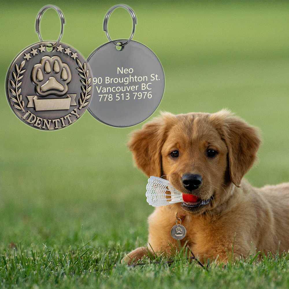 customizable engraved pets id tag for dog cat bronze namepla