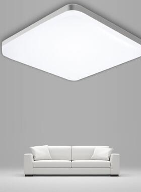 LED Ceiling Lamp AC85-265V 48W 36W 24W 18W Natural Light Ult