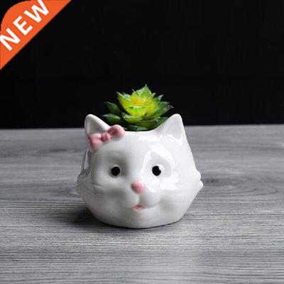 Desktop Plant Fleshy Flowerpot Mini Creative Plant Pot