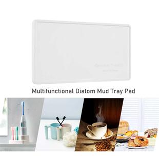 Diatom Mud Tooth Mug Tray Water Adsorbent Diatomite Cup Coas