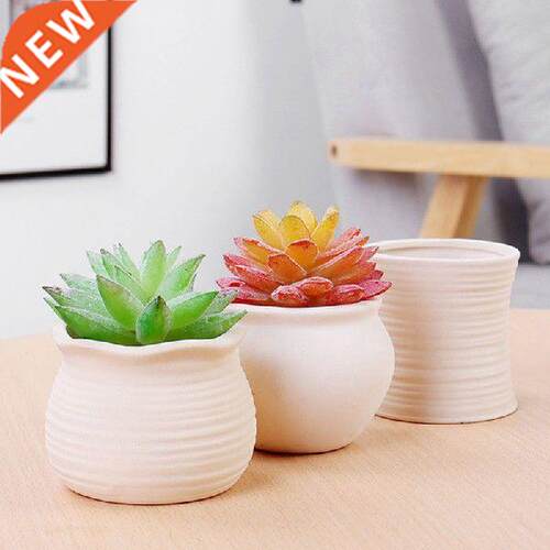 White Color Breathable Fleshy Planter Vase Flower Pot