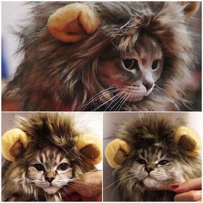 Lion Mane Wig Pet Hat  Wig Funny Christmas Adorable s