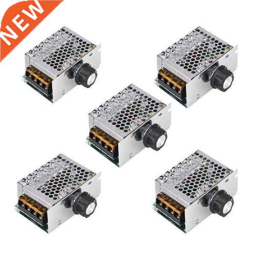Professional Voltage Regulator 4000W High Power AC 220V