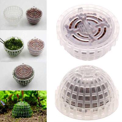 Moss Ball Filtration Decor Marimo Live Aquarium Plant Algae