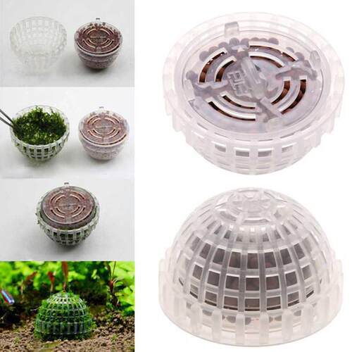 Moss Ball Filtration Decor Marimo Live Aquarium Plant Algae