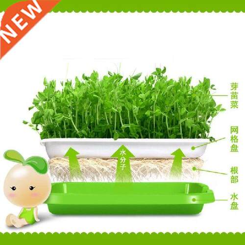 Baki Pemisah Biji BPA Gratis PP Bebas Tanah Wheatgrass