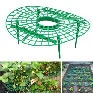 Plant Tray Rack Plastic Strawberry Growing Support Stand