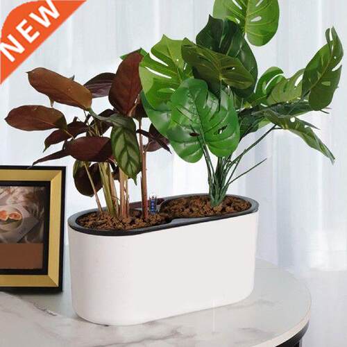 Self Watering Planter Herb Orchid Small Succulent Plants
