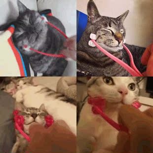 Multifunction Thin Face Massager Pet Interactive Massage