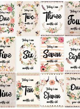 12 Sheet Baby Milestone Cards Newborn Monthly Memorial Grow