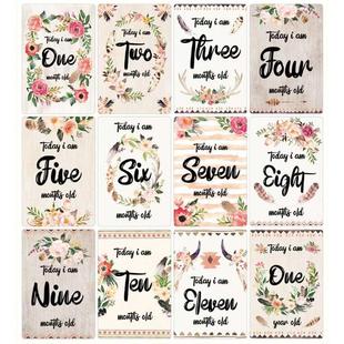 12 Sheet Baby Milestone Cards Newborn Monthly Memorial Grow