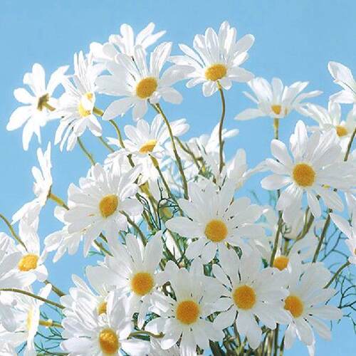 Artificial Daisy Flowers Cloth Daisy Fake Bouquet 5 Heads