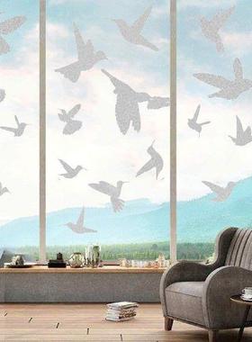 Window Clings for Bird Strikes Bird Window Strike