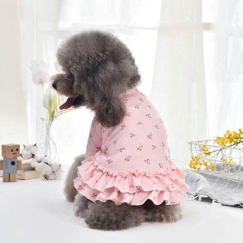 Soft Texture Stylish Cute Pet Dress Costume Two-leg Pet