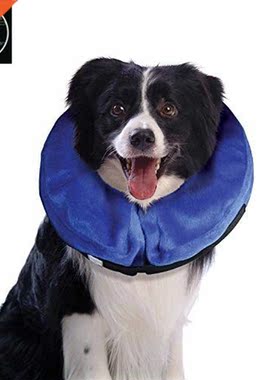 New For Cats and Dogs Super Toughness Adjustable Elastic E-C
