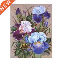 DIY Paint By Numbers For Beginner,Iris Flowers Paint By
