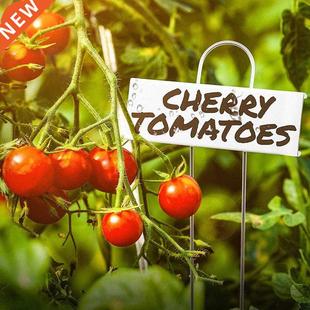 24Pcs Stainless Steel Sign Markers Plant Nameplate Labels