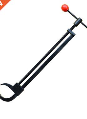 38x27cm Special Bonsai Take Curved Br-anches Deformed