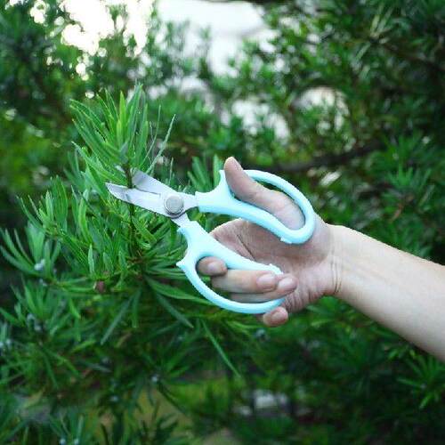 1 pcs Garden Scissors Floral Shears Professional Flower