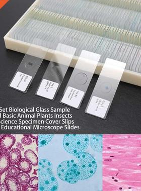 100PCS/Set Microscope Slides Biological Glass Sample Prepare
