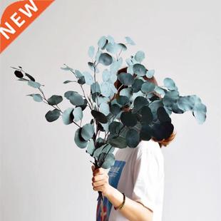Leaves Preserved Eucalyptus Eternal Bouquet lot 80g Natural