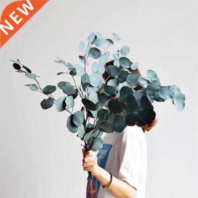 80g/lot,Natural Preserved Eucalyptus Leaves Bouquet, Eternal