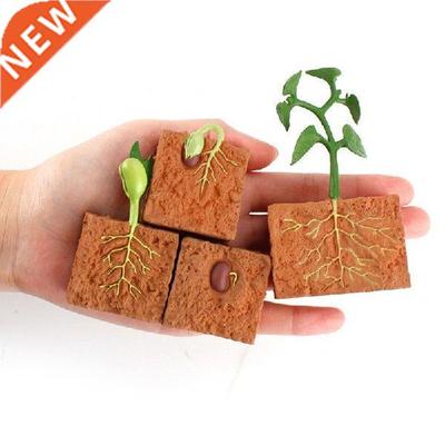 Kids Plant Seeds Growth Life Cycle Playset Cognitive Toys